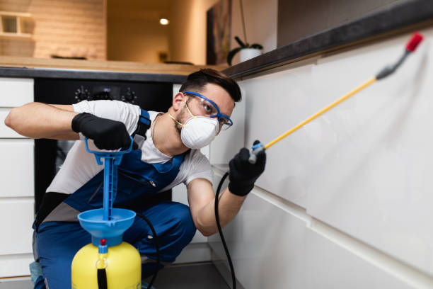 Best Affordable Pest Control Services  in Silverthorne, CO