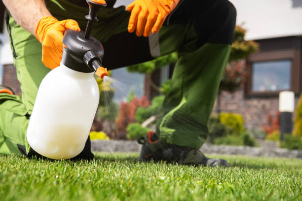 Best Mosquito Control Services  in Silverthorne, CO