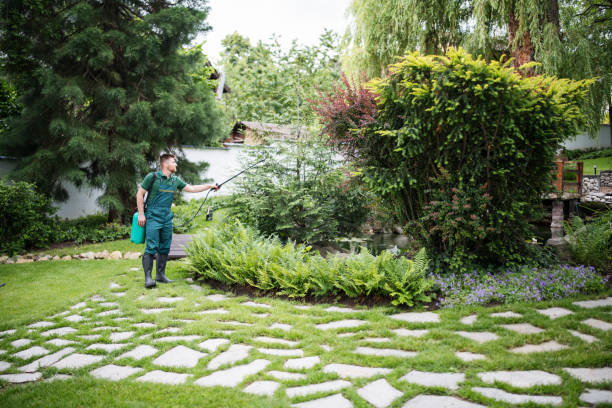 Best Commercial Pest Control Services  in Silverthorne, CO