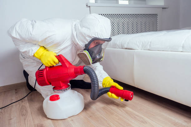 Best Exterminator Services  in Silverthorne, CO