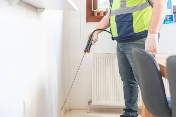 Best Bed Bug Extermination  in Silverthorne, CO