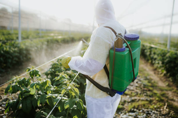 Best Bed Bug Extermination  in Silverthorne, CO